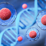 Social Responsibility