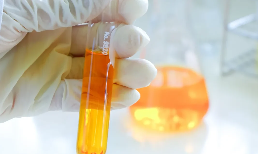 Pioneeer-05 Pioneeer-05